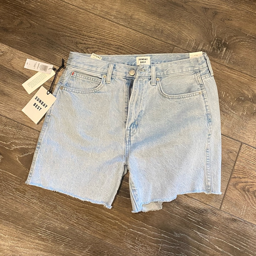 Aritzia Jean shorts